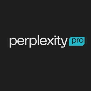 Perplexity Pro